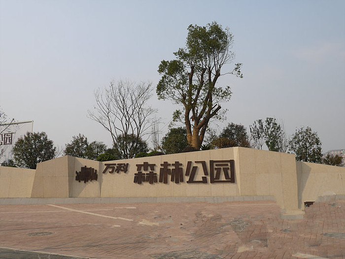 電表用於合肥萬科森林（lín）公園